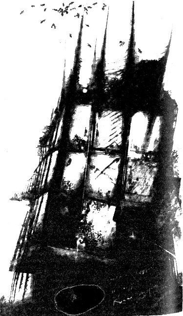 Город. Все живое… (сборник) - i_005.jpg