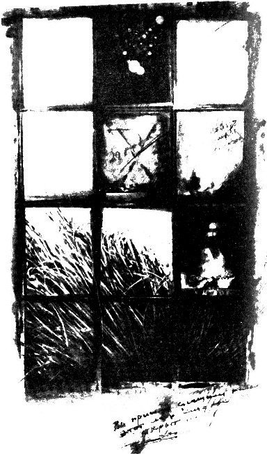 Город. Все живое… (сборник) - i_006.jpg