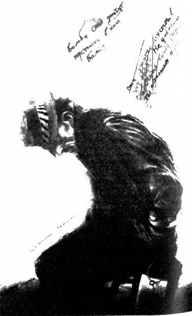 Город. Все живое… (сборник) - i_007.jpg