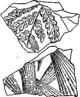 Путешествие по берегам морей, которых никто никогда не видел - i_068.jpg