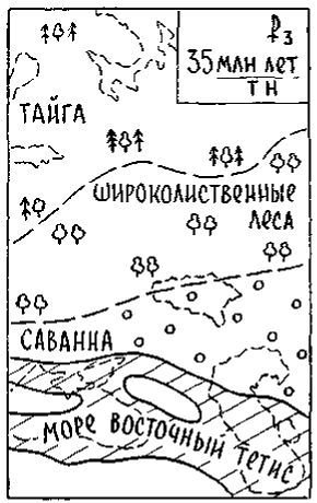Путешествие по берегам морей, которых никто никогда не видел - i_136.jpg