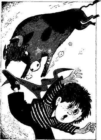 Сказки - i_012.jpg