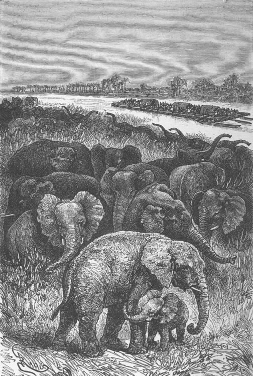 Южная звезда - i_043.jpg