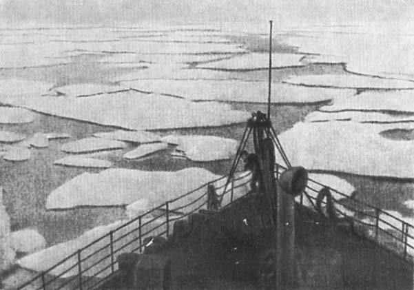 Макаров - _31.jpg