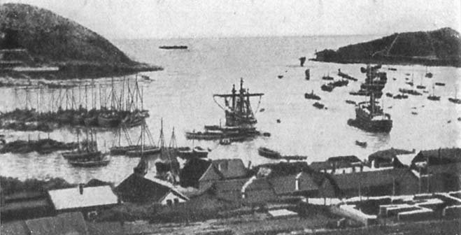 Макаров - _33.jpg