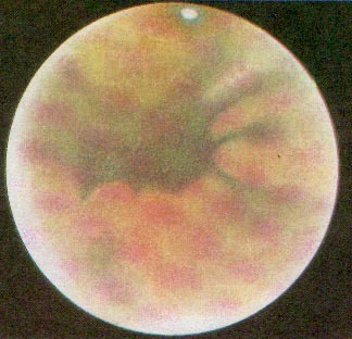 Азбука звездного неба. Часть 2 - _099.jpg