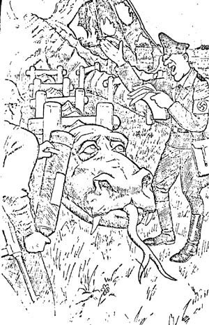 Русские народные мстители - pic_5.jpg