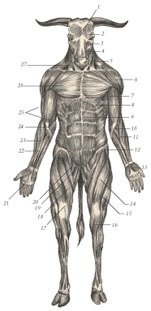 Химера - _38.jpg