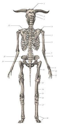 Химера - _39.jpg