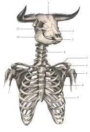 Химера - _43.jpg