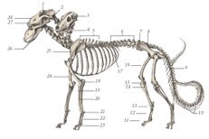 Химера - _68.jpg