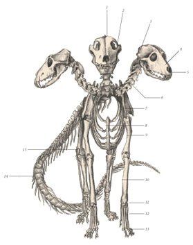 Химера - _70.jpg