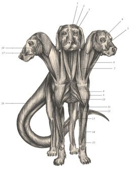 Химера - _71.jpg