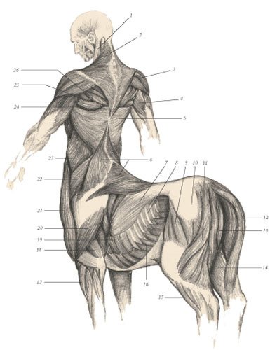 Химера - _100.jpg