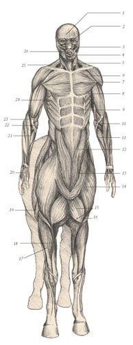 Химера - _102.jpg