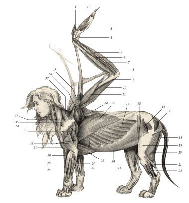 Химера - _13.jpg