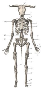 Химера - _37.jpg