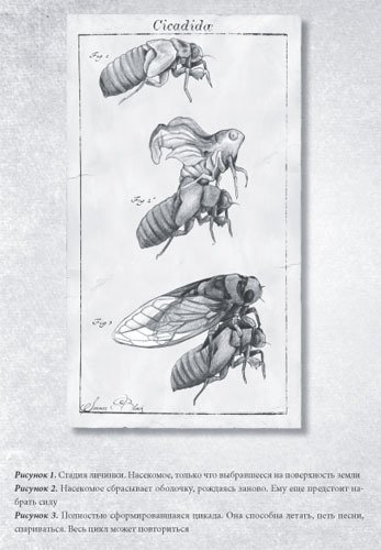 Химера - _4.jpg