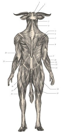 Химера - _40.jpg