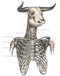 Химера - _44.jpg