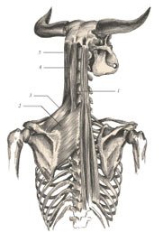 Химера - _46.jpg