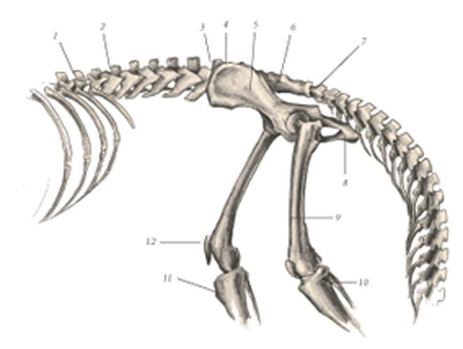 Химера - _74.jpg