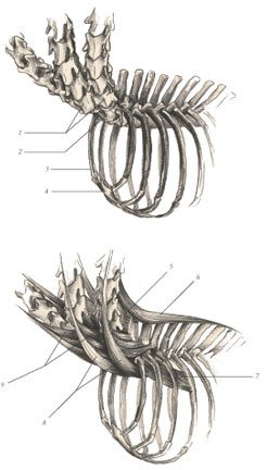 Химера - _76.jpg
