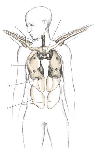Химера - _115.jpg