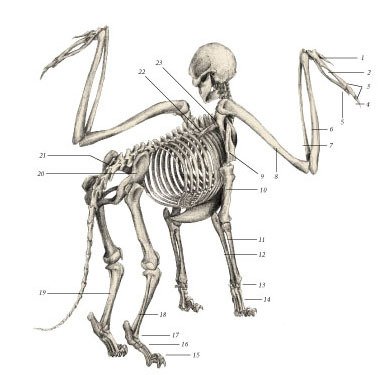 Химера - _14.jpg