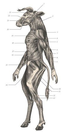 Химера - _42.jpg