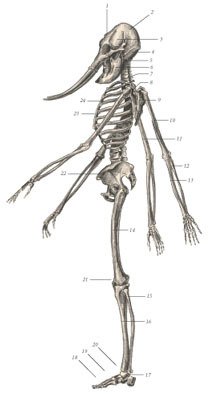 Химера - _51.jpg