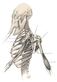 Химера - _58.jpg