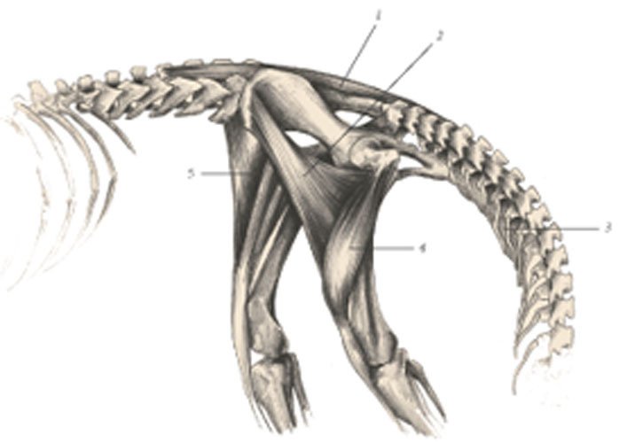 Химера - _75.jpg