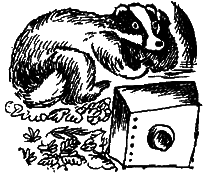 Восемь розовых динозавров - i_016.png