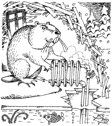 Жизнь лесных дебрей - _16.png