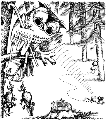 Жизнь лесных дебрей - _26.png