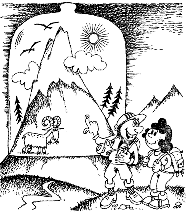 Жизнь лесных дебрей - _9.png
