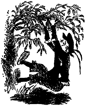 Кеес Адмирал Тюльпанов - kees207.png