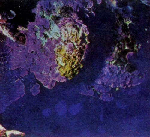 Подводный мир - img_8.jpg