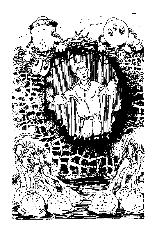 Норби и пропавшая принцесса. Норби и захватчики - pic_26.png