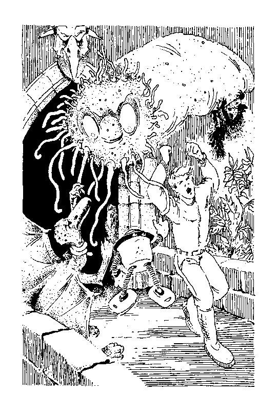 Норби и пропавшая принцесса. Норби и захватчики - pic_37.png