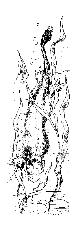 Норби и пропавшая принцесса. Норби и захватчики - pic_40.png