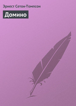 Книга Домино