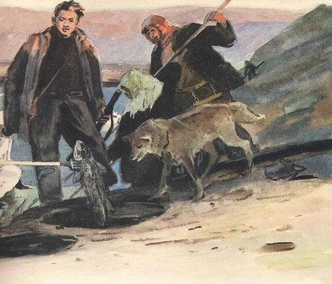 Северин едет по тундре - i_019.jpg