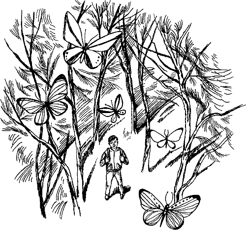 Dear Mr. Henshaw / Дорогой мистер Хеншоу. 7-8 классы - _7.png