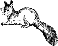 Тук Тукыч - i_040.png