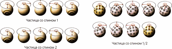 Мир в ореховой скорлупке (илл. книга-журнал) - i_047.png