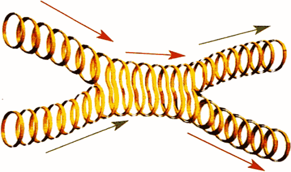 Мир в ореховой скорлупке (илл. книга-журнал) - i_052.png