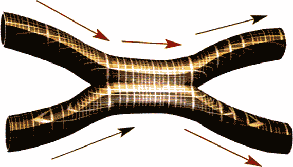 Мир в ореховой скорлупке (илл. книга-журнал) - i_053.png