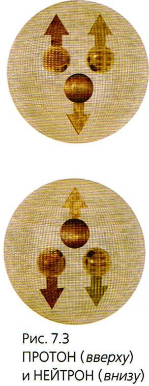 Мир в ореховой скорлупке (илл. книга-журнал) - i_185.jpg